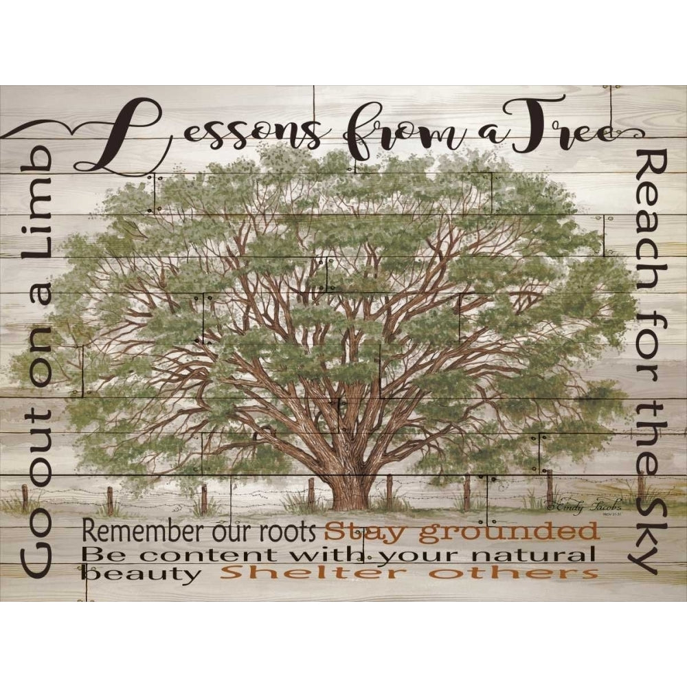 Lessons from a Tree Poster Print by Cindy Jacobs-VARPDXCIN251 Image 1