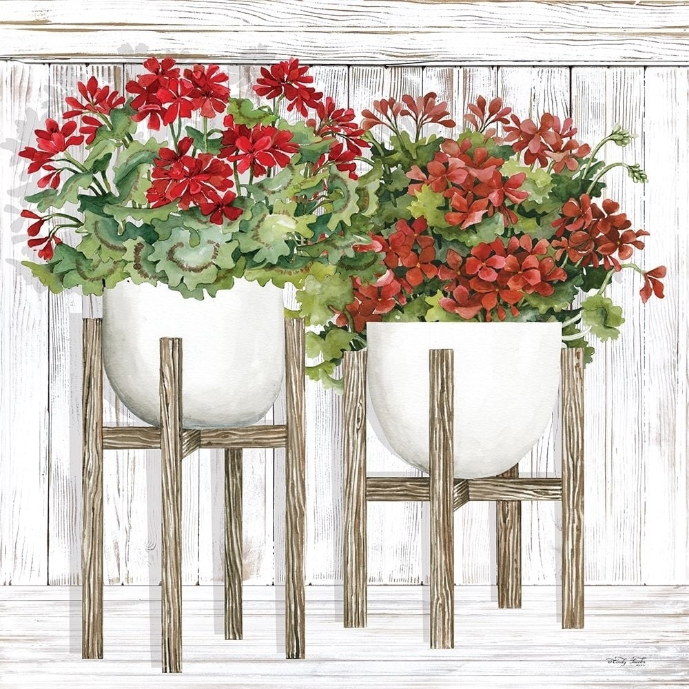 Red Geraniums Poster Print by Cindy Jacobs-VARPDXCIN2405 Image 1