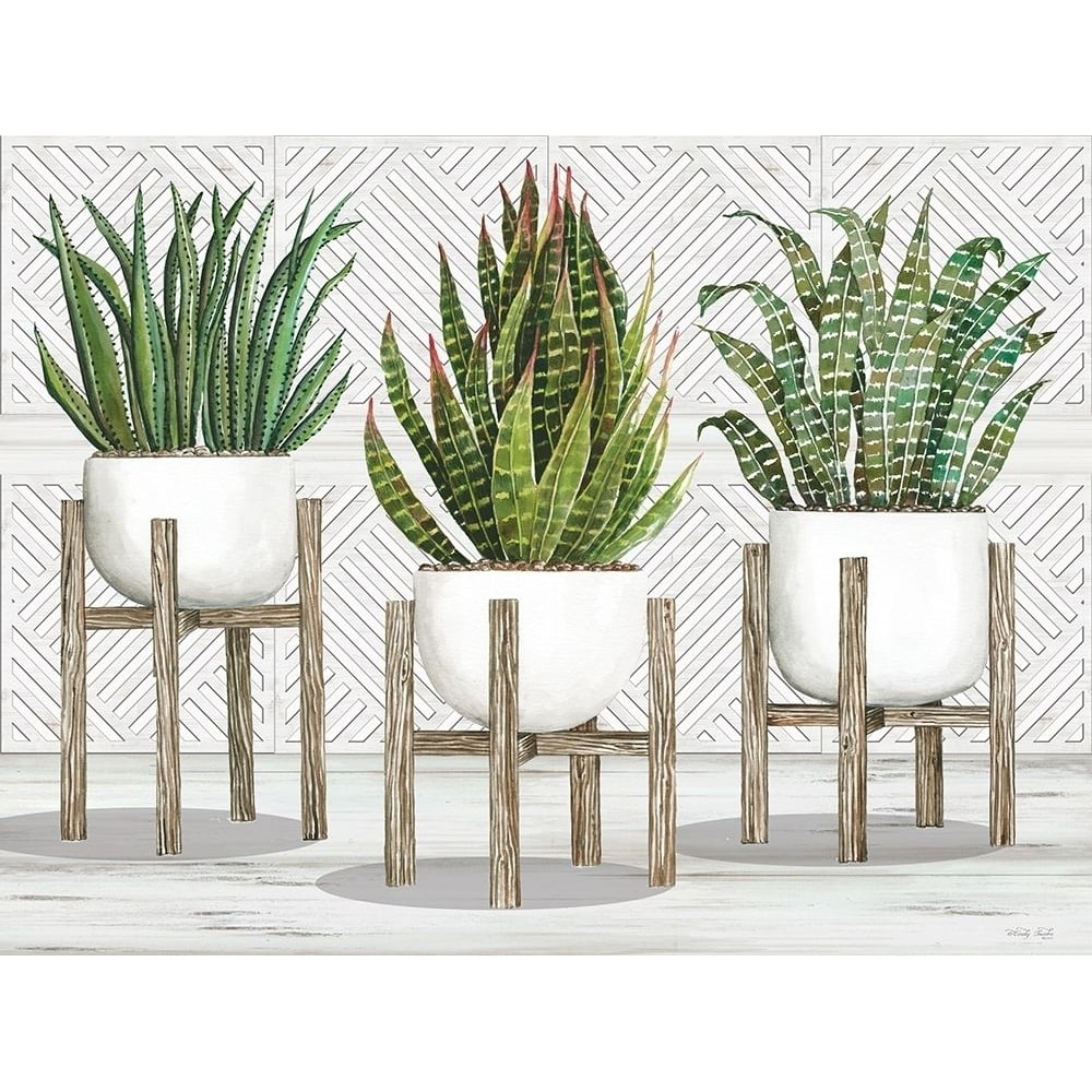 Succulent Trio on Stands by Cindy Jacobs-VARPDXCIN2734 Image 1