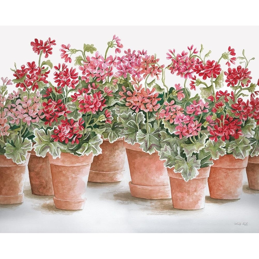 Potted Geranium Mix I Poster Print - Cindy Jacobs-VARPDXCIN2889 Image 1