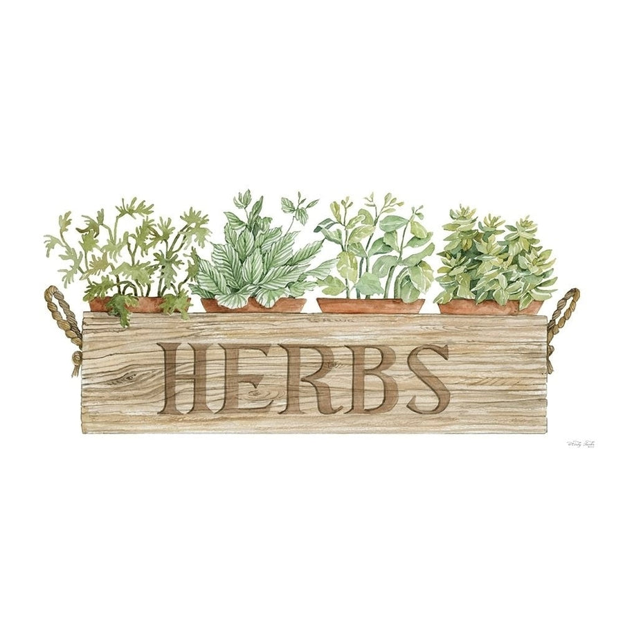 Crate of Herbs by Cindy Jacobs-VARPDXCIN2933 Image 1