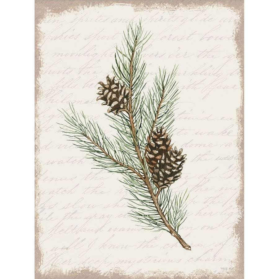 Pine Cone Botanical II Poster Print - Cindy Jacobs-VARPDXCIN3282 Image 1