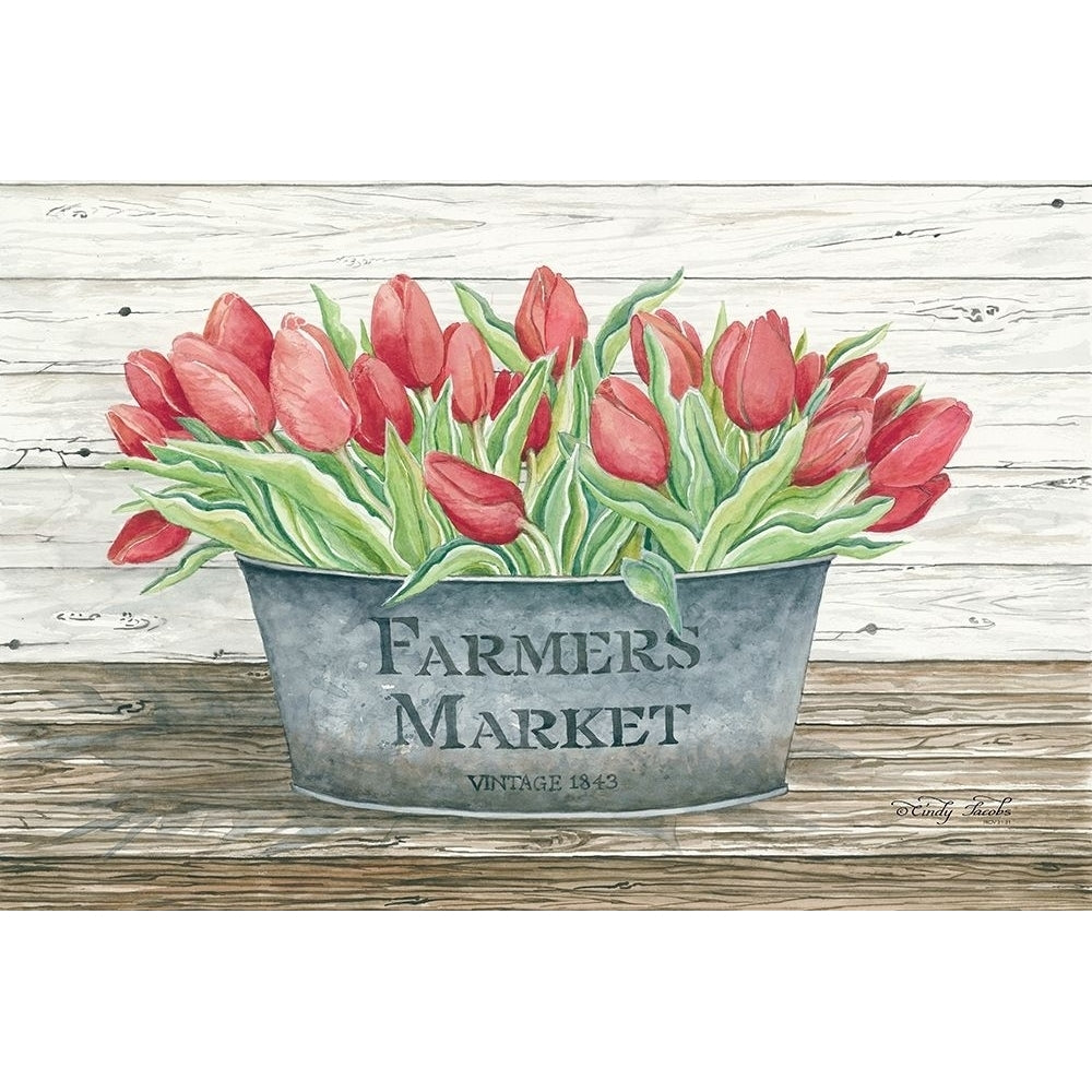 Farmers Market Tulips Poster Print by Cindy Jacobs-VARPDXCIN612 Image 1