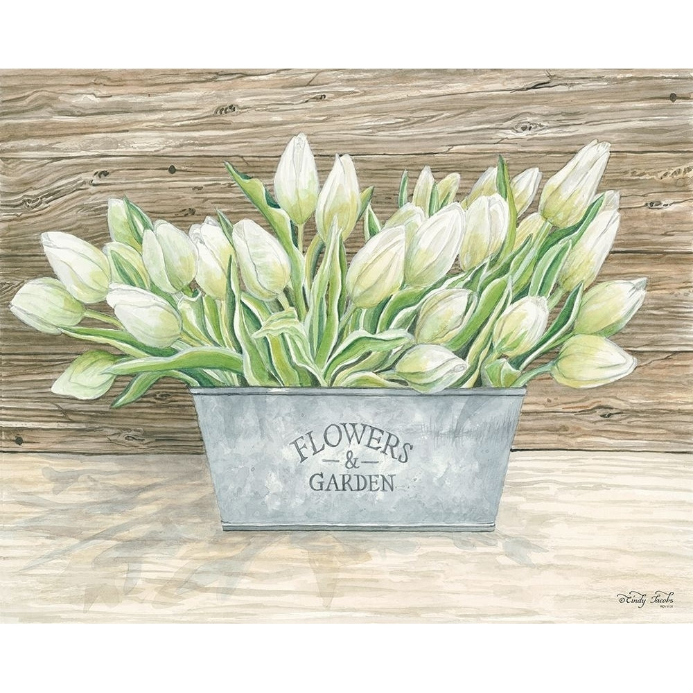 Flowers and Garden Tulips Poster Print by Cindy Jacobs-VARPDXCIN611 Image 1