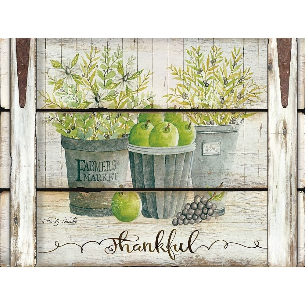 Eucalyptus - Thankful Poster Print by Cindy Jacobs-VARPDXCIN747 Image 1