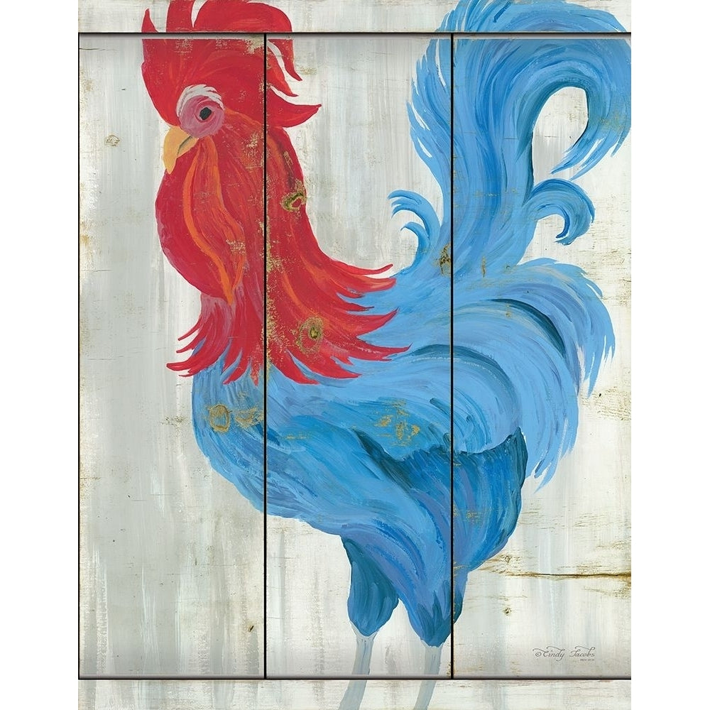 Patriotic Rooster Poster Print by Cindy Jacobs-VARPDXCIN907 Image 1