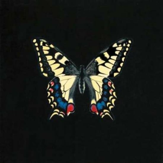 Butterfly on Black Poster Print by Joanna Charlotte-VARPDXCJP502 Image 1