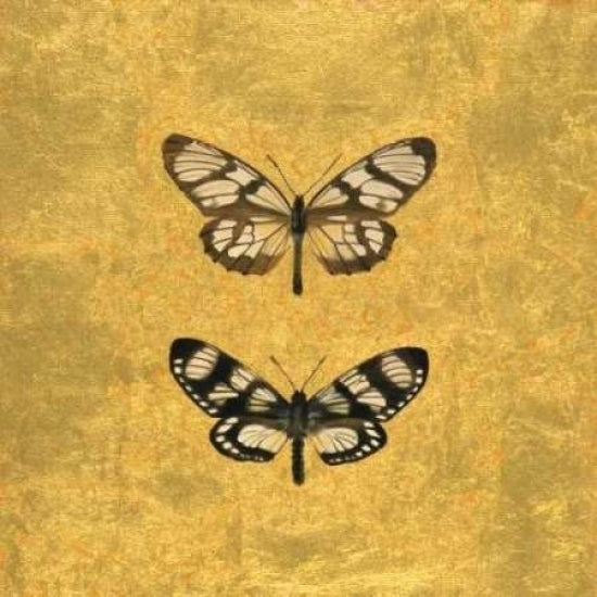 Pair of Butterflies on Gold Poster Print by Joanna Charlotte-VARPDXCJP503 Image 1