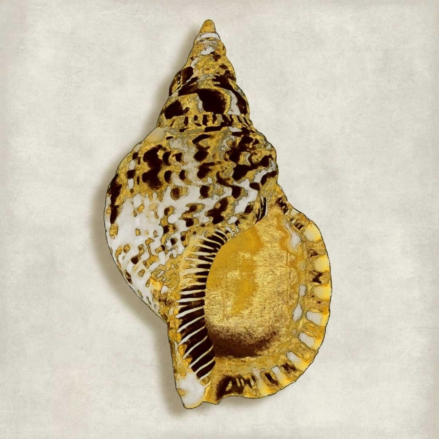 Golden Ocean Gems on Ivory III Poster Print by Caroline Kelly-VARPDXCKL112804 Image 1