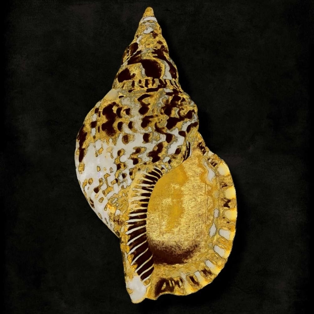 Golden Ocean Gems III Poster Print by Caroline Kelly-VARPDXCKL112238DG Image 1