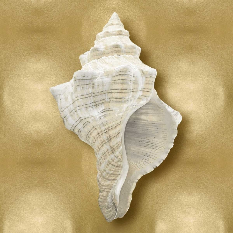 Ocean Gem on Gold I Poster Print by Caroline Kelly-VARPDXCKL114065 Image 1