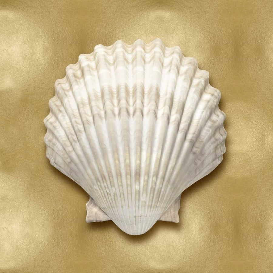 Ocean Gem on Gold IV Poster Print by Caroline Kelly-VARPDXCKL114068 Image 1