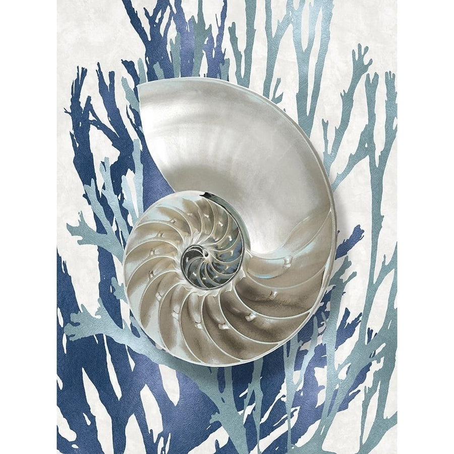 Shell Coral Aqua Blue II Poster Print by Caroline Kelly-VARPDXCKL116018 Image 1