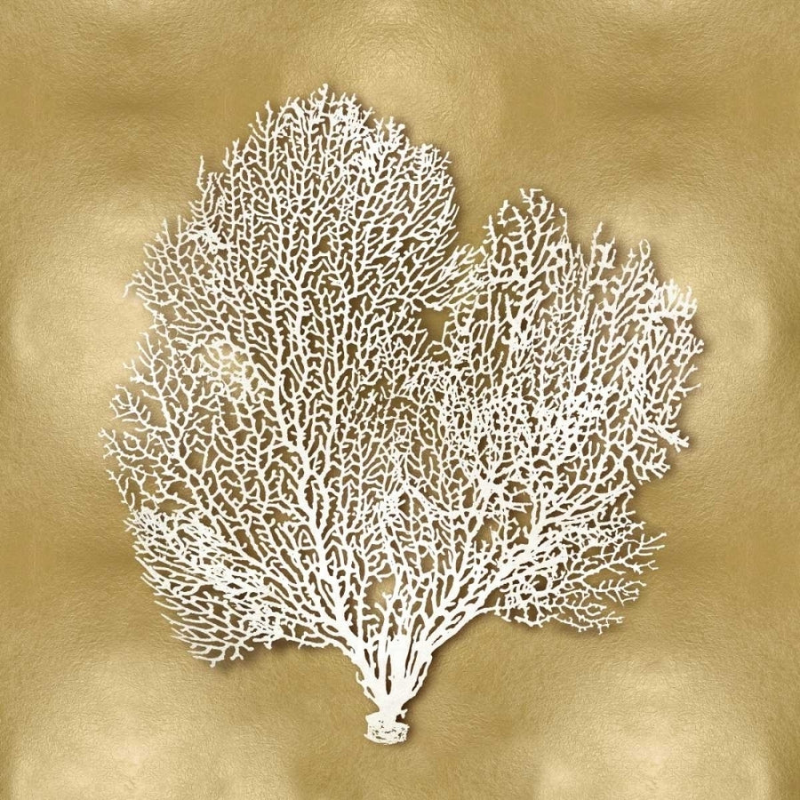 Sea Fan on Gold II Poster Print by Caroline Kelly-VARPDXCKL114076 Image 1