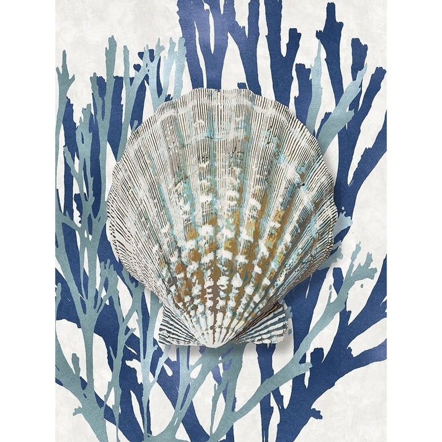 Shell Coral Aqua Blue IV Poster Print by Caroline Kelly-VARPDXCKL116020 Image 1