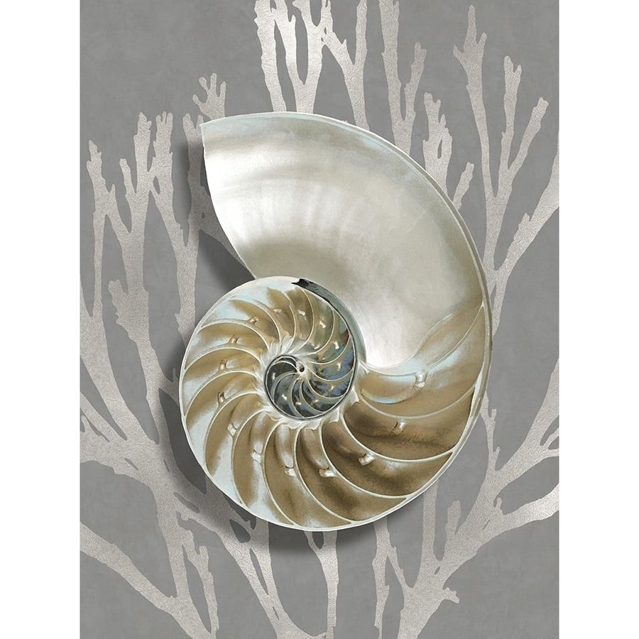 Shell Coral Silver on Gray II Poster Print by Caroline Kelly-VARPDXCKL116026 Image 1