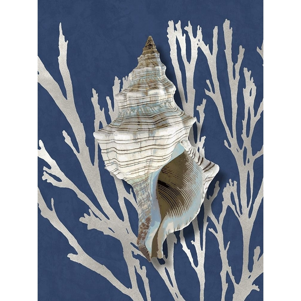 Shell Coral Silver on Blue III Poster Print by Caroline Kelly-VARPDXCKL116031 Image 1