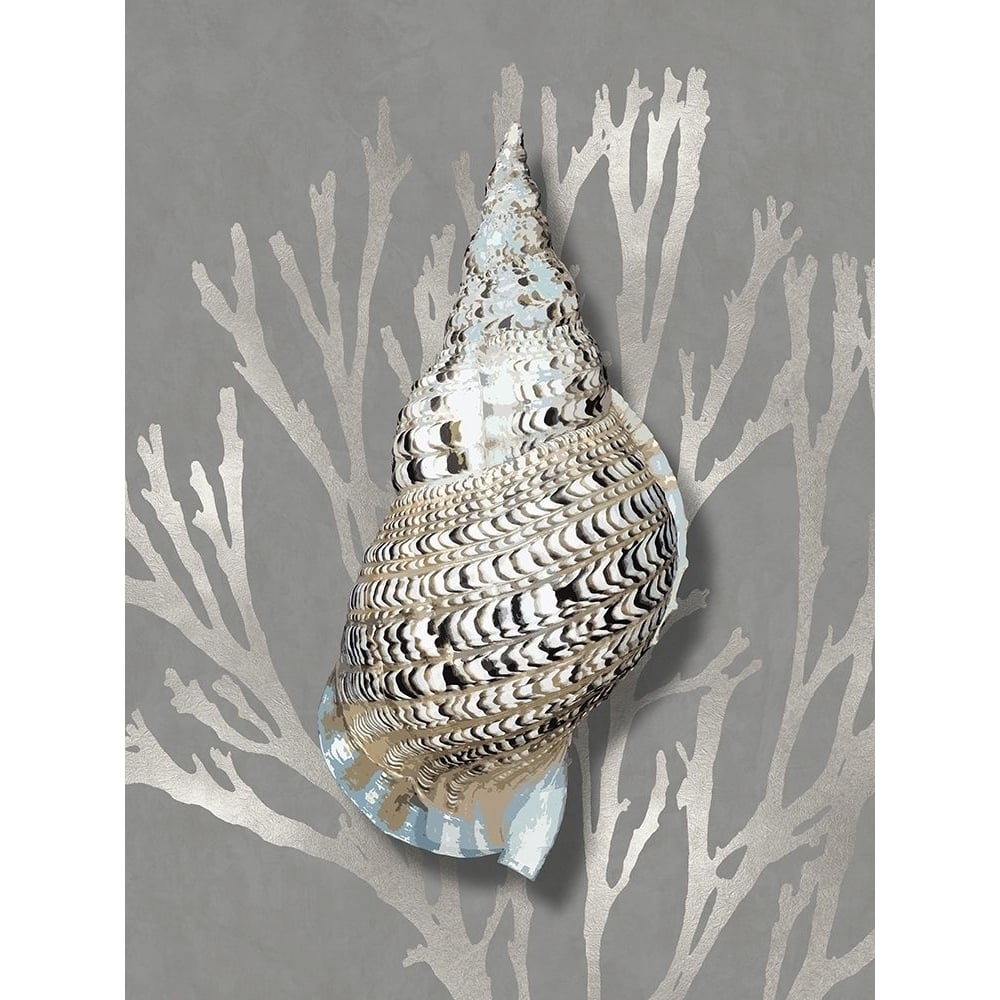 Shell Coral Silver on Gray I Poster Print by Caroline Kelly-VARPDXCKL116025 Image 1