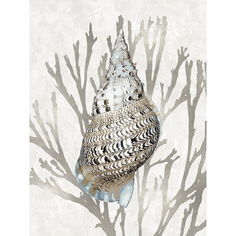 Shell Coral Silver I Poster Print by Caroline Kelly-VARPDXCKL116033 Image 1