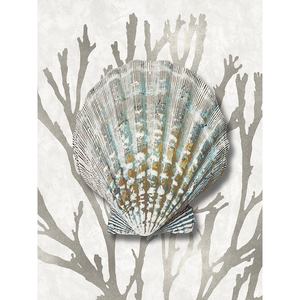 Shell Coral Silver IV Poster Print by Caroline Kelly-VARPDXCKL116036 Image 1