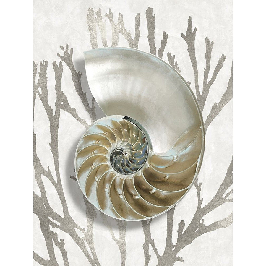 Shell Coral Silver II Poster Print by Caroline Kelly-VARPDXCKL116034 Image 1