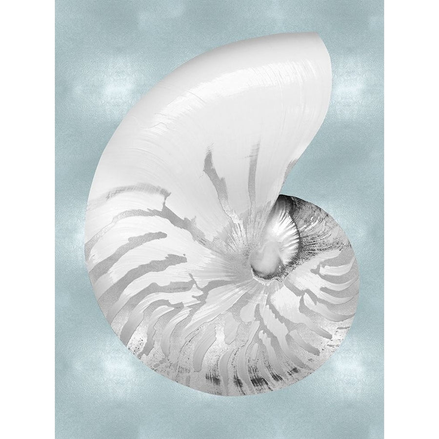 Silver Shell on Aqua Blue II Poster Print by Caroline Kelly-VARPDXCKL116549 Image 1