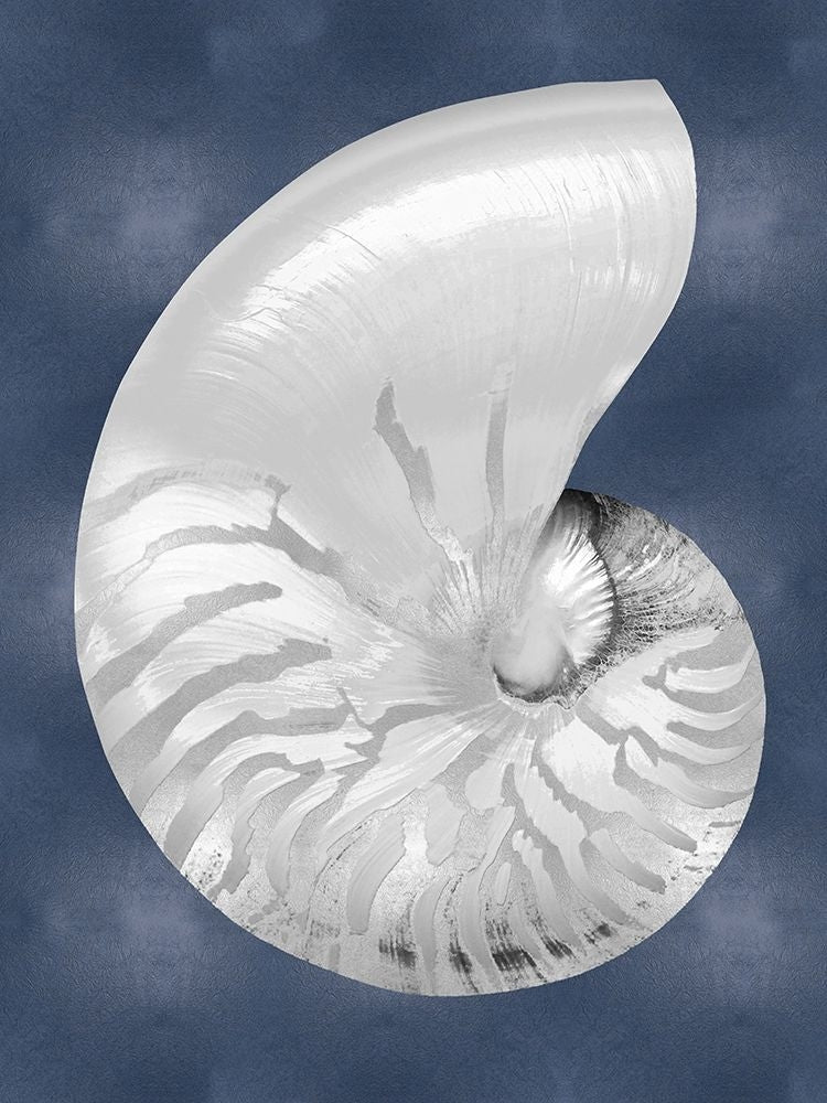 Silver Shell on Indigo Blue II Poster Print by Caroline Kelly-VARPDXCKL116551 Image 1