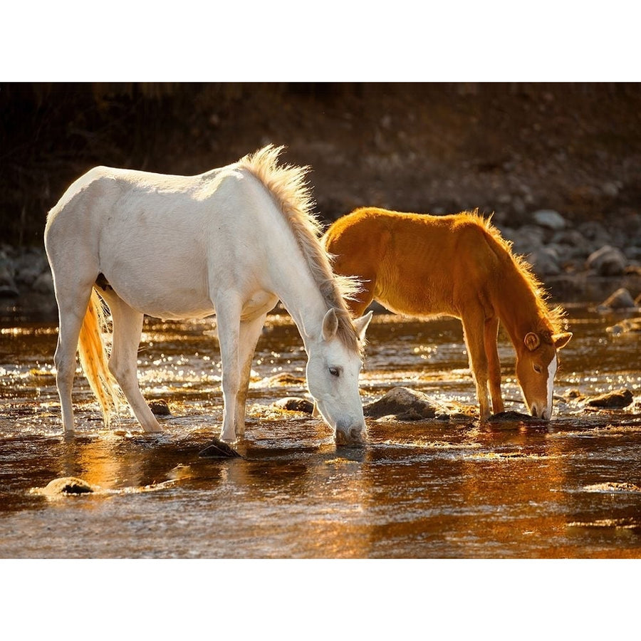 Salt River Poster Print - Jerry Cowart-VARPDXCOW022 Image 1