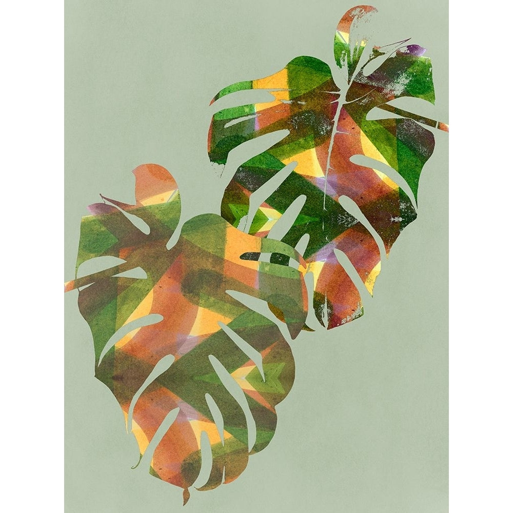 Tropical Monstera I Poster Print - C Project-VARPDXCP051A Image 1