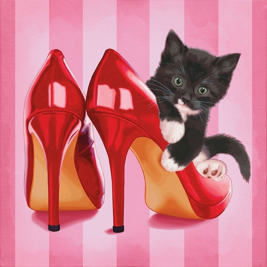 Chaton et chaussures Poster Print by Maryline Cazenave-VARPDXCS0770 Image 1