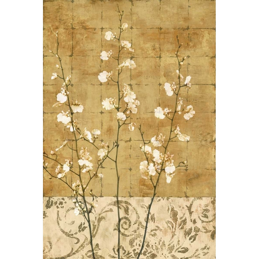 Blossoms in Gold II Poster Print by Chris Donovan-VARPDXCSD5733 Image 1