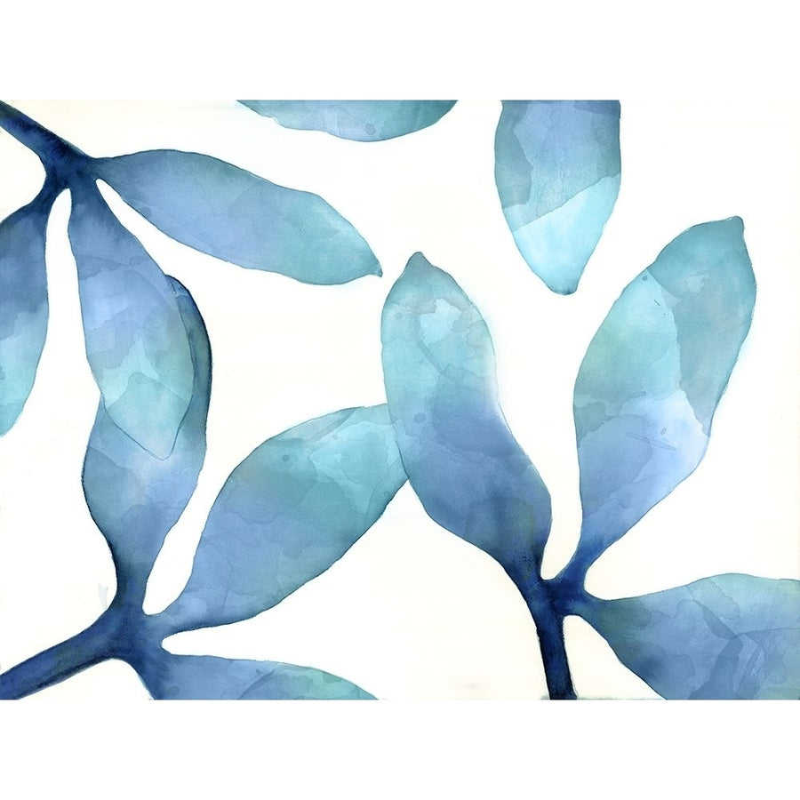 Indigo Blossoms III Poster Print by Cathy Hendrick-VARPDXCT007A Image 1