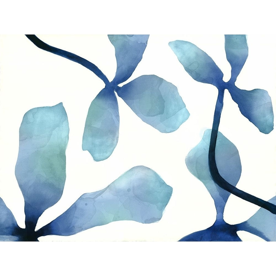 Indigo Blossoms IV Poster Print by Cathy Hendrick-VARPDXCT008A Image 1