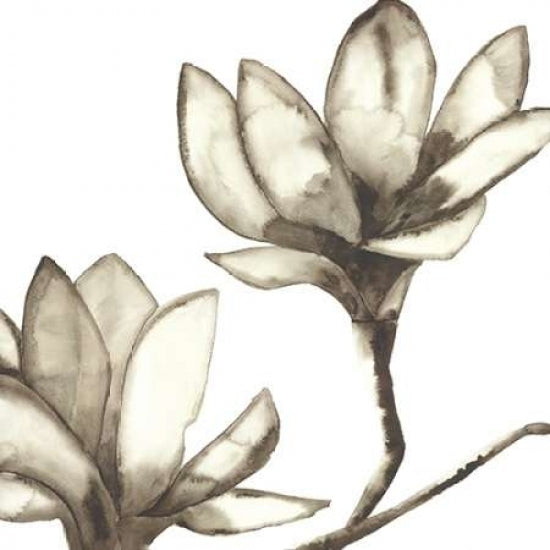 Magnolia III Poster Print by Cathy Hendrick-VARPDXCT015A Image 2