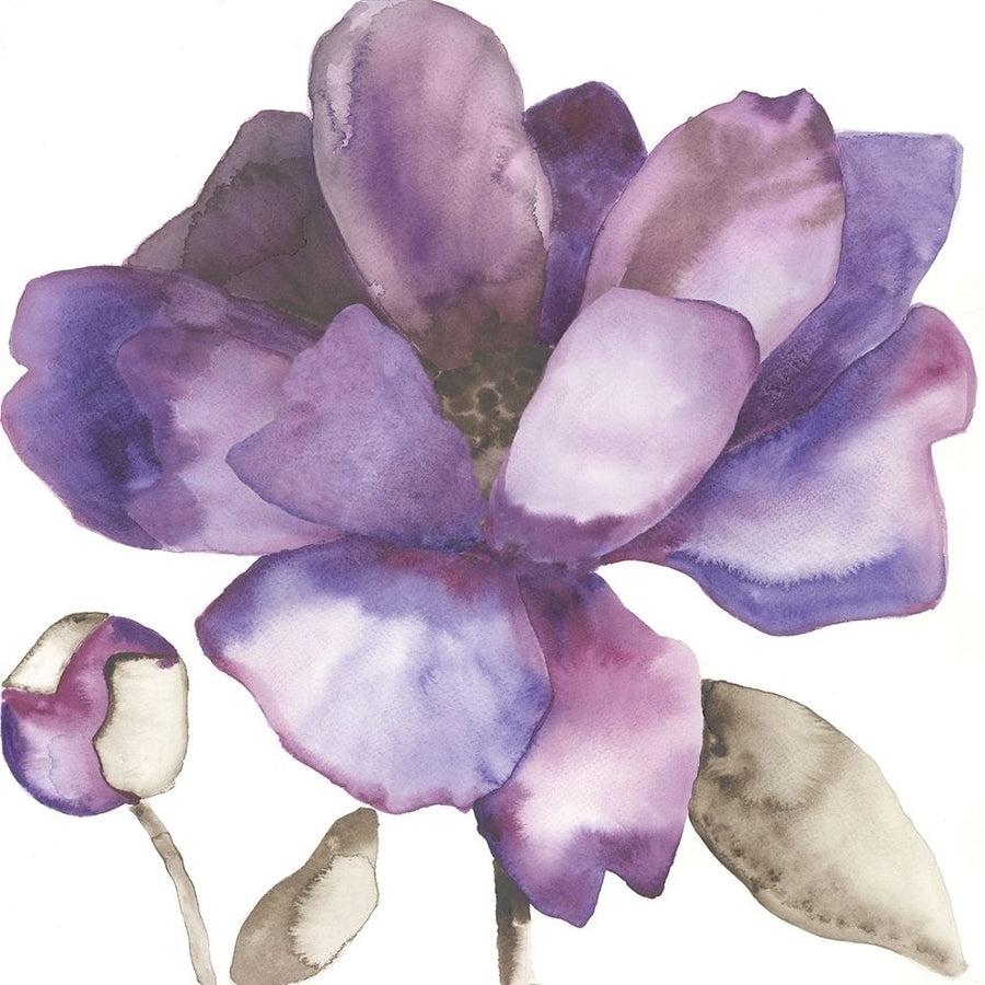 Purple Beauty I Poster Print by Cathy Hendrick-VARPDXCT022A Image 1