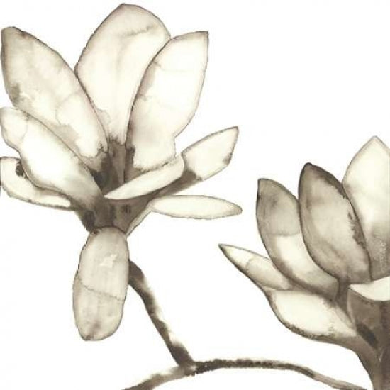 Magnolia IV Poster Print by Cathy Hendrick-VARPDXCT016A Image 2