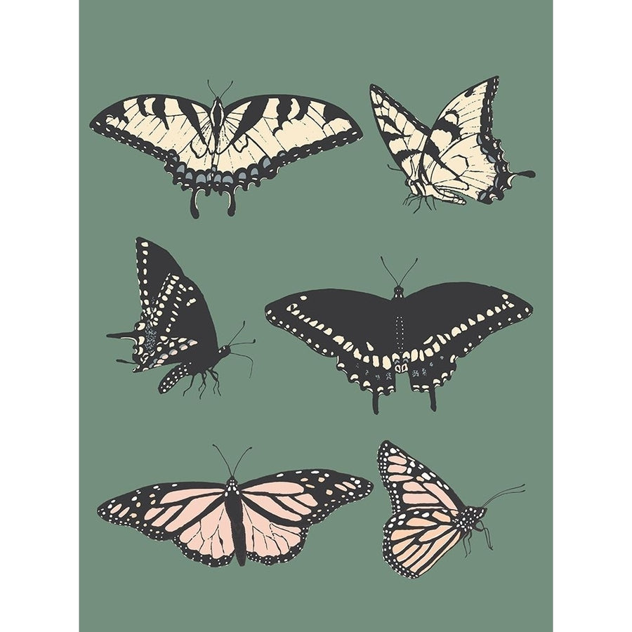 Butterfly Chart Poster Print - Melody Designs Sweet-VARPDXCTRC014A Image 1