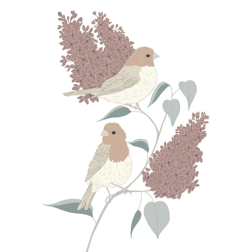 Finches And Lilacs Muted Poster Print - Melody Designs Sweet-VARPDXCTRC136A Image 1