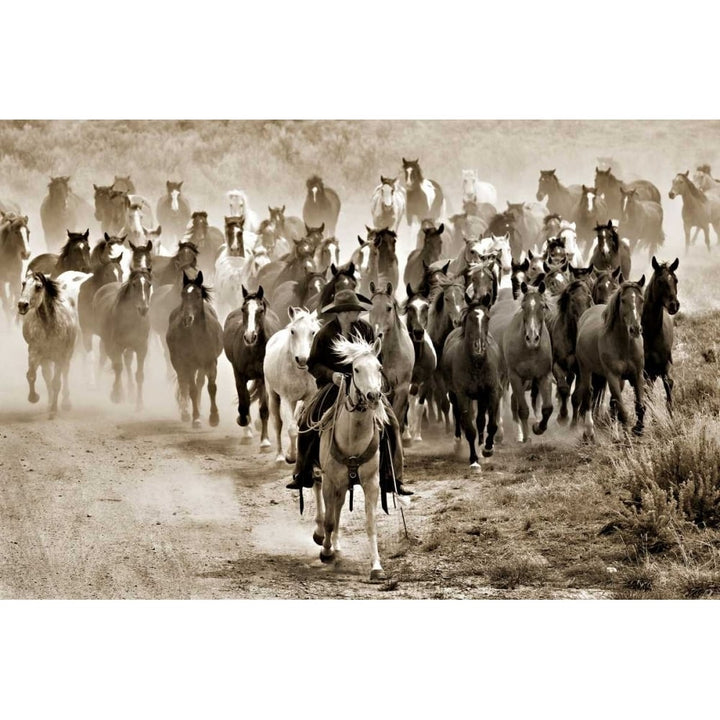 Heading Home Poster Print by Lisa Dearing-VARPDXD1020D Image 1