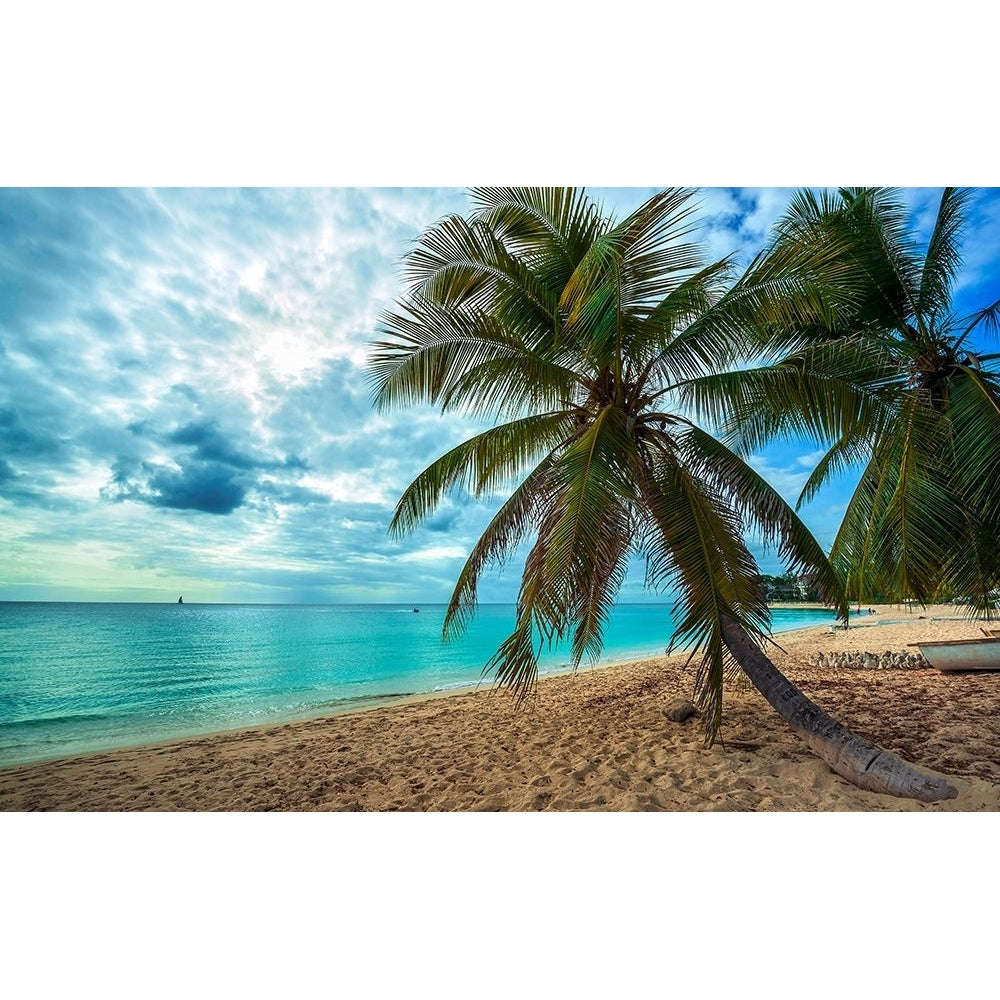 Palm Tree Dreams by Lizzy Davis-VARPDXD2085D Image 1