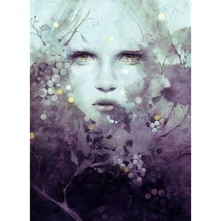 Vine Poster Print by Anna Dittman-VARPDXD955D Image 1