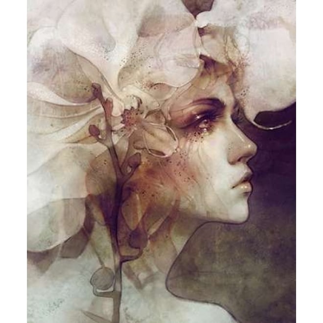 Petal Poster Print by Anna Dittman-VARPDXD952D Image 1