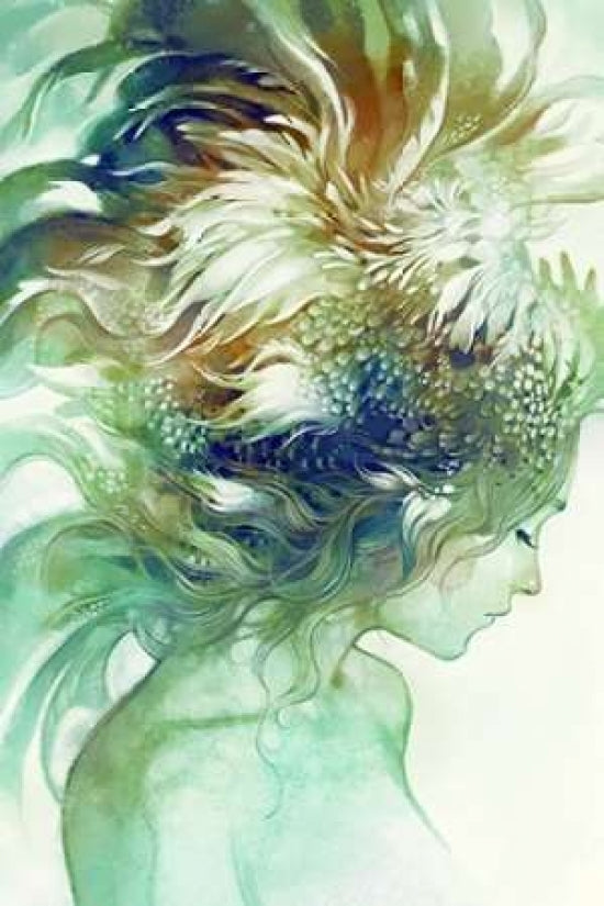 Comb Poster Print by Anna Dittman-VARPDXD982D Image 1