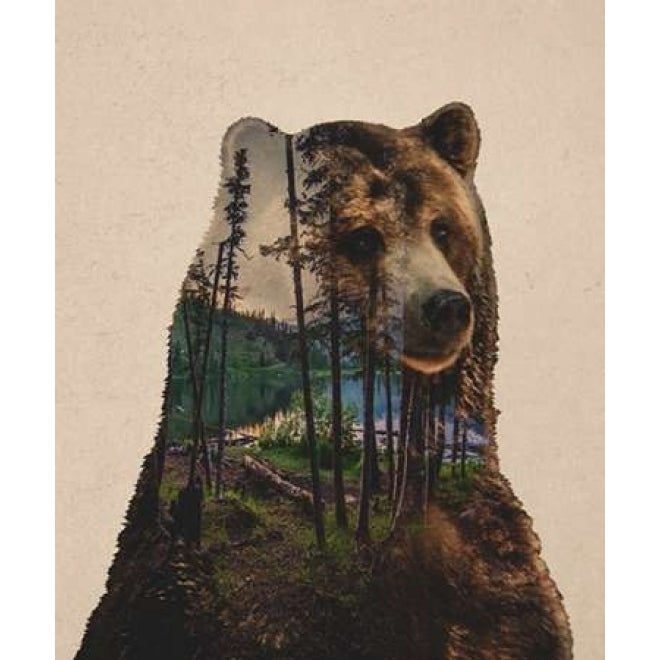 Bear Lake Poster Print by Davies Babies-VARPDXD998D Image 1