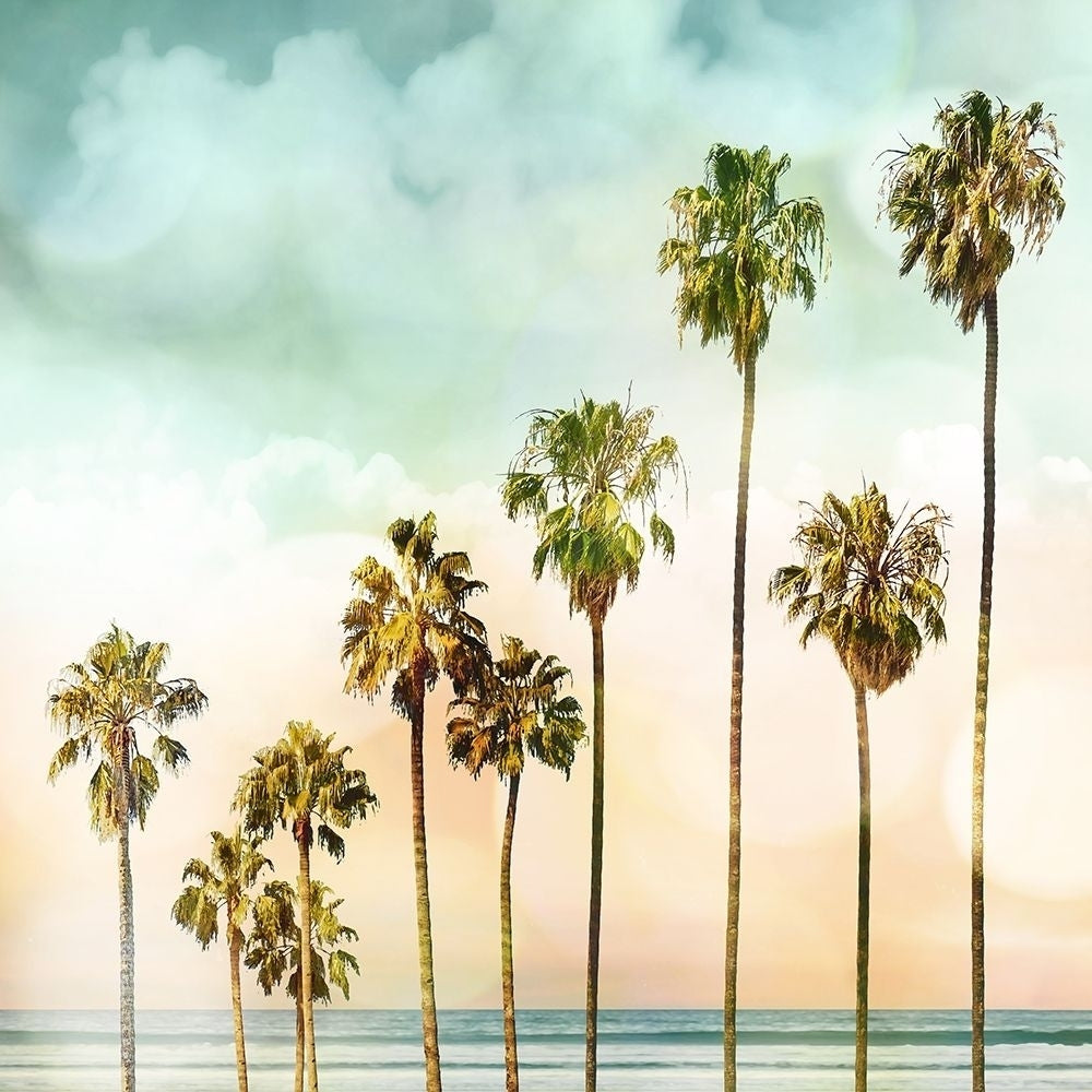 Beach Palms I Poster Print by Devon Davis-VARPDXDA116324 Image 1