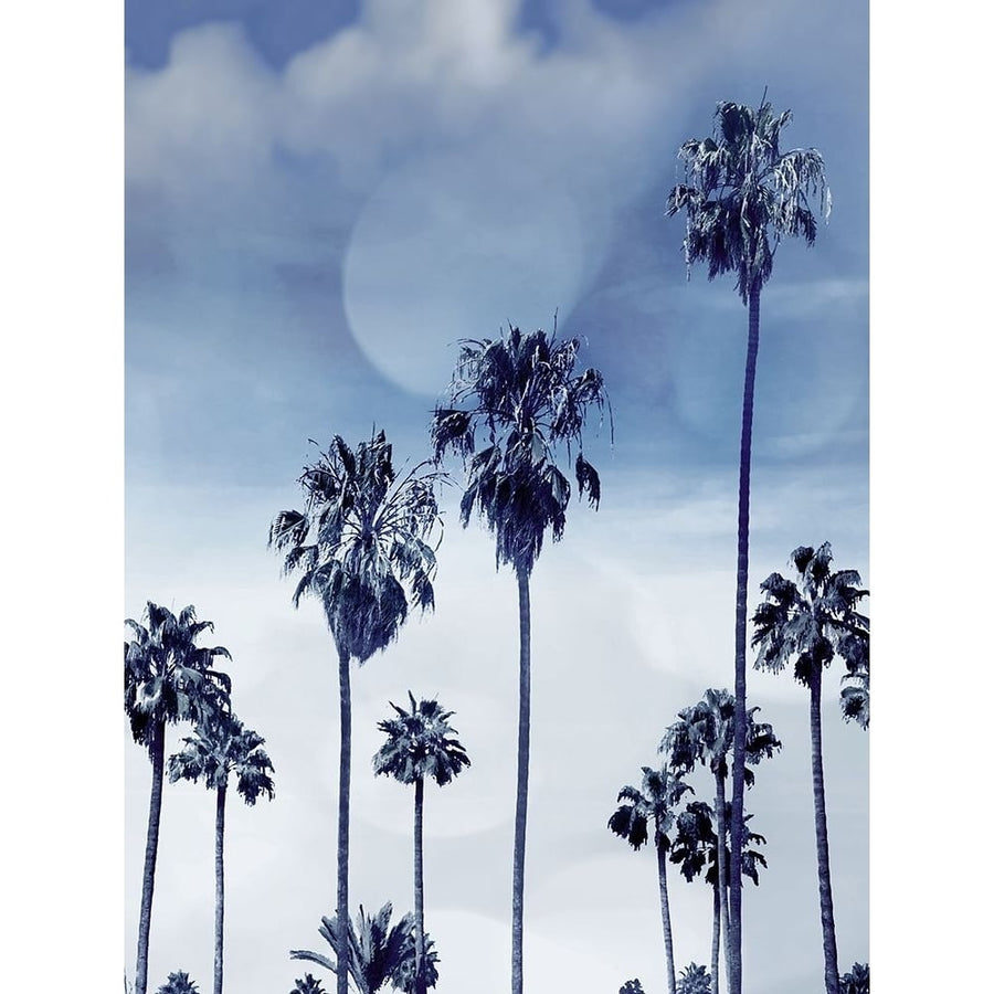 Beach Palms Indigo I Poster Print by Devon Davis-VARPDXDA116327 Image 1