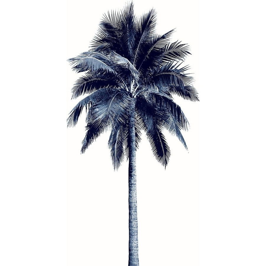 Palm Tree Blue I Poster Print - Madeline Blake-VARPDXDA118193 Image 1