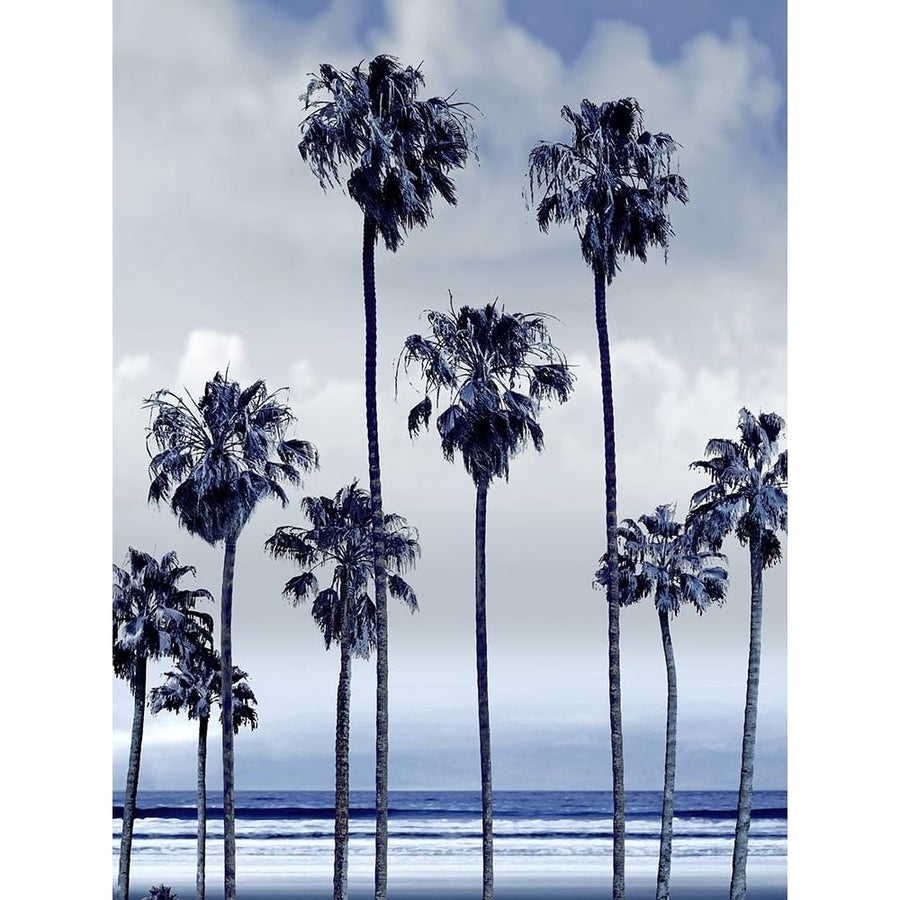 Beach Palms Indigo II Poster Print by Devon Davis-VARPDXDA116328 Image 1