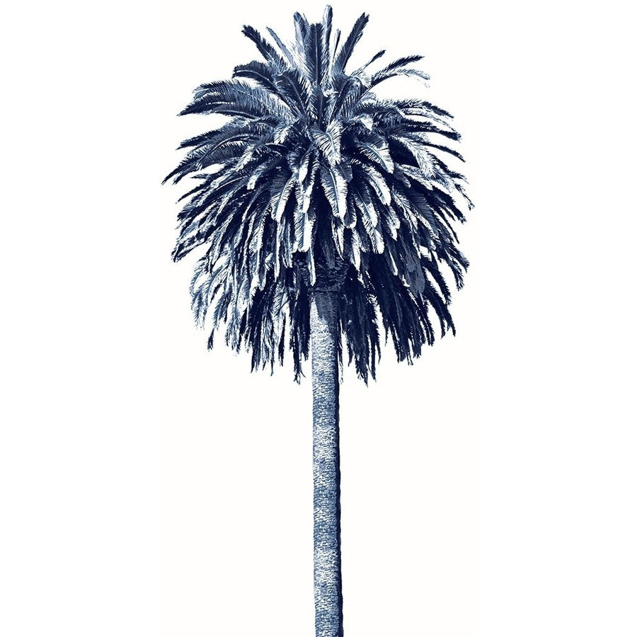 Palm Tree Blue II Poster Print - Madeline Blake-VARPDXDA118194 Image 1