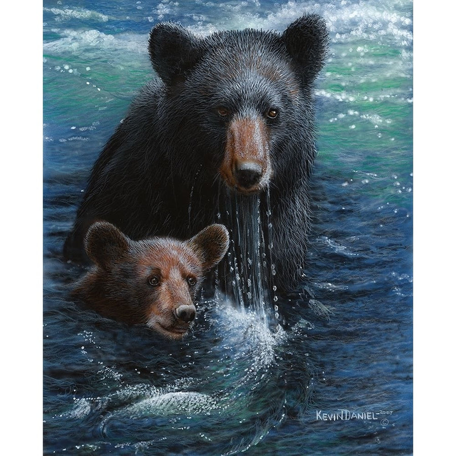 Bearly Swimming Poster Print - Kevin Daniel-VARPDXDAN286 Image 1